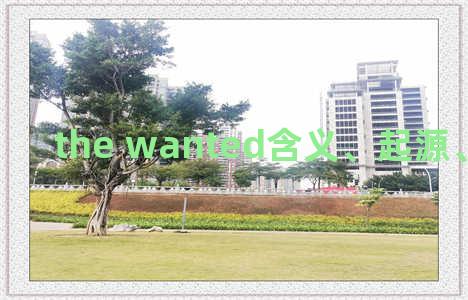 the wanted含义、起源、相关知识